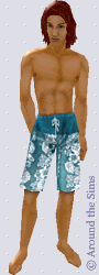 Around the Sims