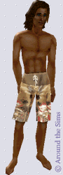 Around the Sims