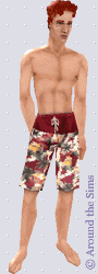 Around the Sims