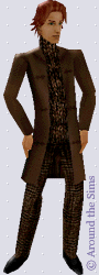 Around the Sims