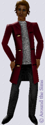 Around the Sims