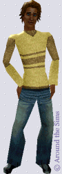 Around the Sims