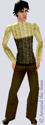 Around the Sims
