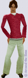 Around the Sims