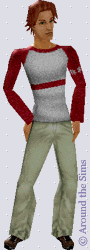 Around the Sims