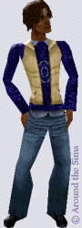 Around the Sims