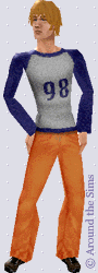Around the Sims
