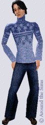 Around the Sims