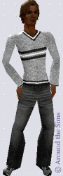 Around the Sims