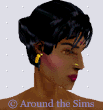 Around the Sims