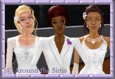 Around the Sims