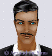 Around the Sims