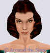 Around the Sims