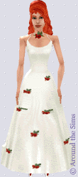 Around the Sims