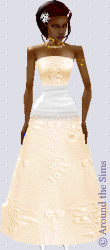 Around the Sims