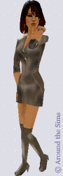 Around the Sims