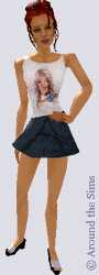 Around the Sims