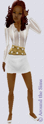 Around the Sims