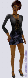 Around the Sims