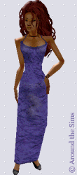 Around the Sims