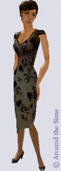 Around the Sims