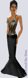 Around the Sims