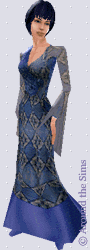 Around the Sims