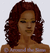 Around the Sims