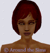Around the Sims