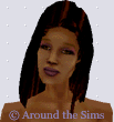 Around the Sims