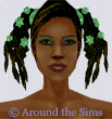 Around the Sims