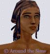 Around the Sims