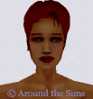 Around the Sims