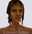 Around the Sims