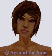 Around the Sims