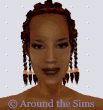 Around the Sims