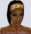 Around the Sims