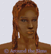 Around the Sims