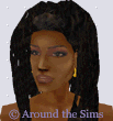 Around the Sims