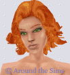 Around the Sims