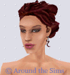 Around the Sims