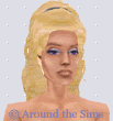 Around the Sims
