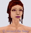 Around the Sims