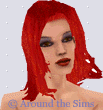 Around the Sims