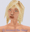 Around the Sims
