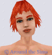 Around the Sims