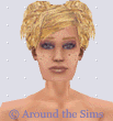 Around the Sims