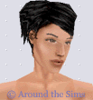 Around the Sims