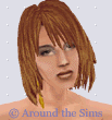 Around the Sims
