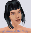 Around the Sims